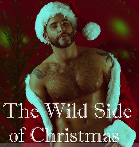 Erotic Christmas Stories